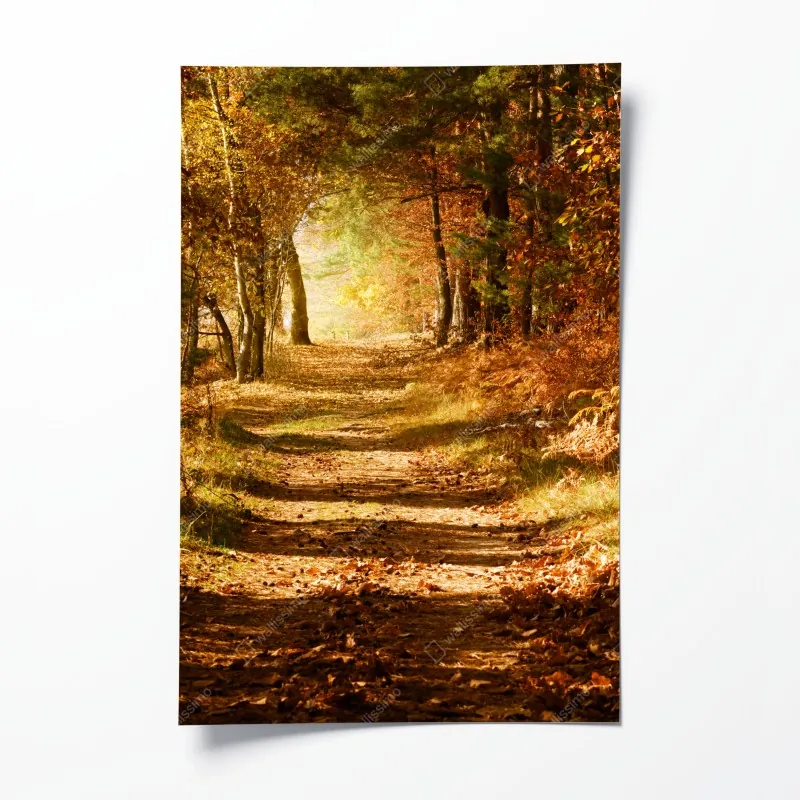 Plakat świt nad letnią łąką – Wallissimo®