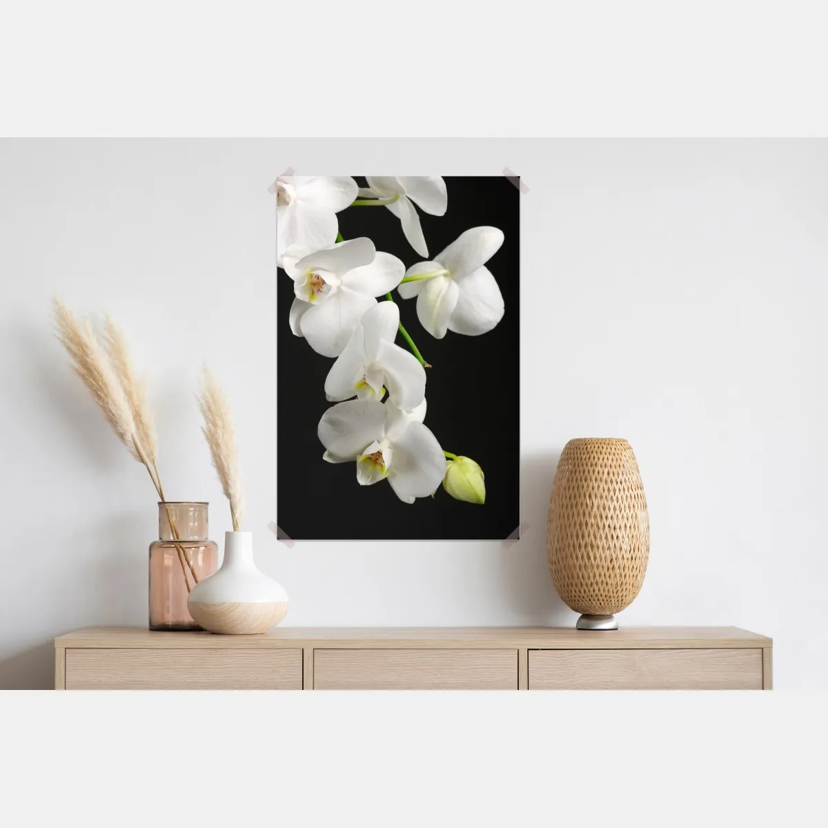 Plakat biała gałązka orchidei na czarnym tle – Wallissimo® Plakat biała gałązka orchidei na czarnym tle – Wallissimo®