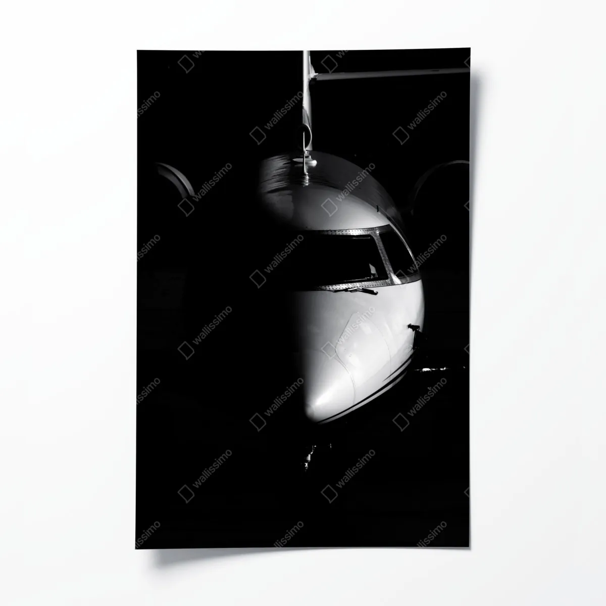 Plakat monochromatyczny portret nosa odrzutowca – Wallissimo® Plakat monochromatyczny portret nosa odrzutowca – Wallissimo®