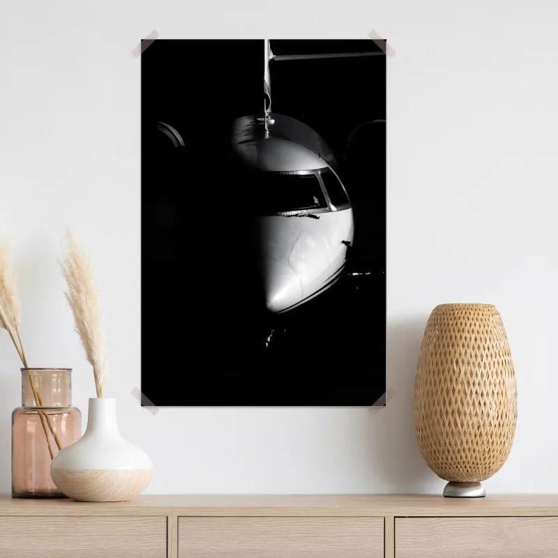 Plakat monochromatyczny portret nosa odrzutowca – Wallissimo® Plakat monochromatyczny portret nosa odrzutowca – Wallissimo®