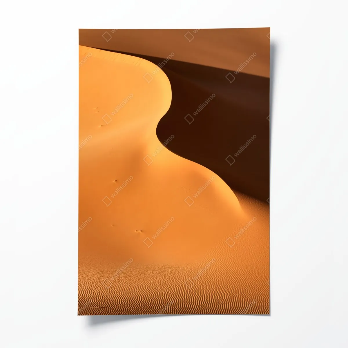Plakat złote krzywizny wydmy – Wallissimo® Plakat złote krzywizny wydmy – Wallissimo®