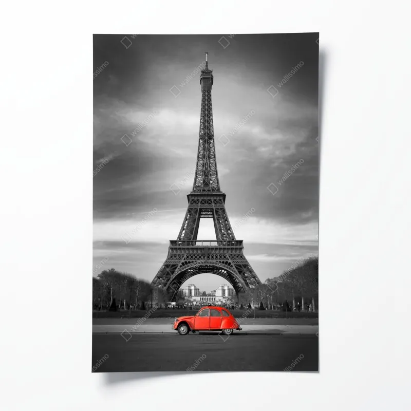 Plakat bujne tropikalne liście – Wallissimo®