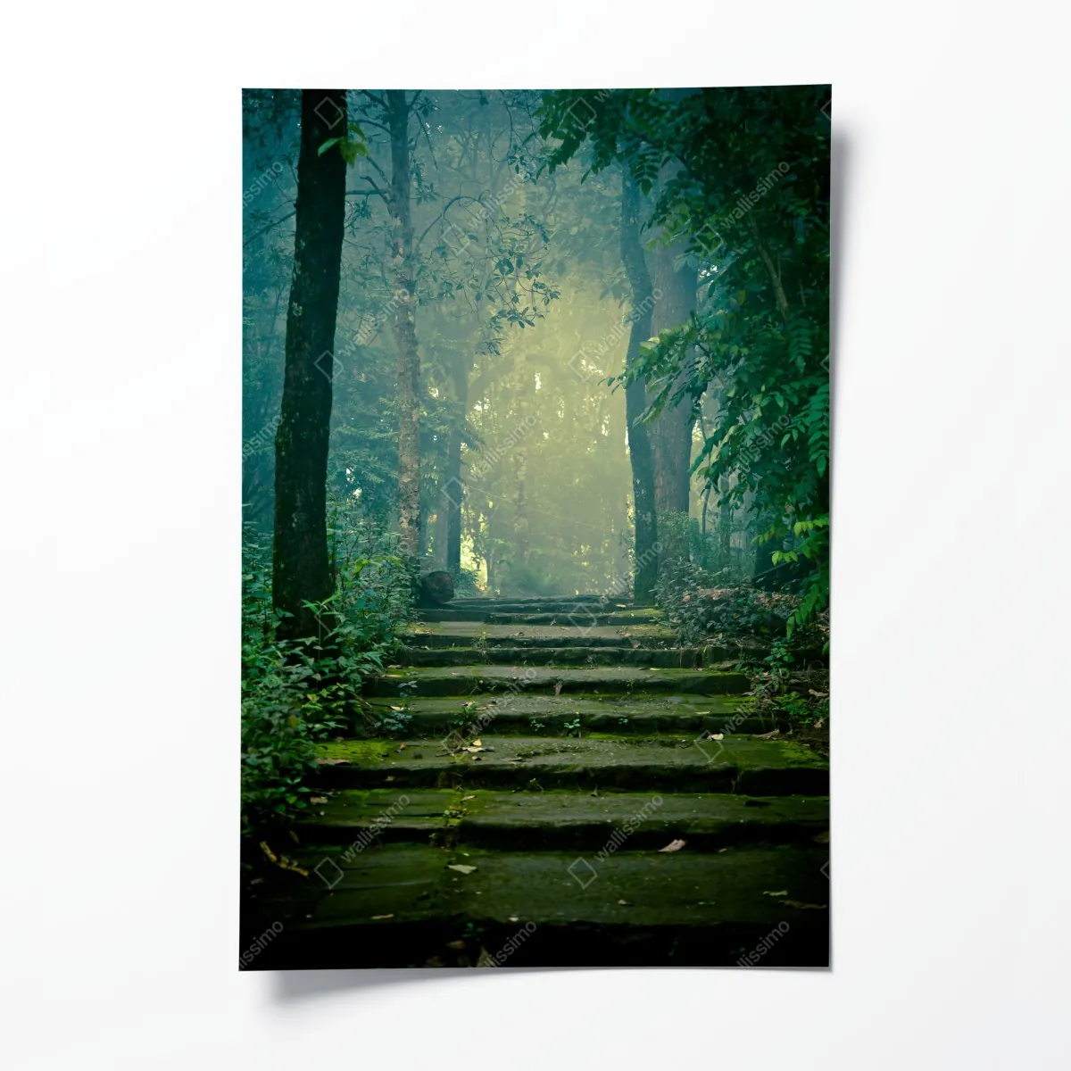 Plakat mchowe kamienne schody do mglistego lasu – Wallissimo® Plakat mchowe kamienne schody do mglistego lasu – Wallissimo®