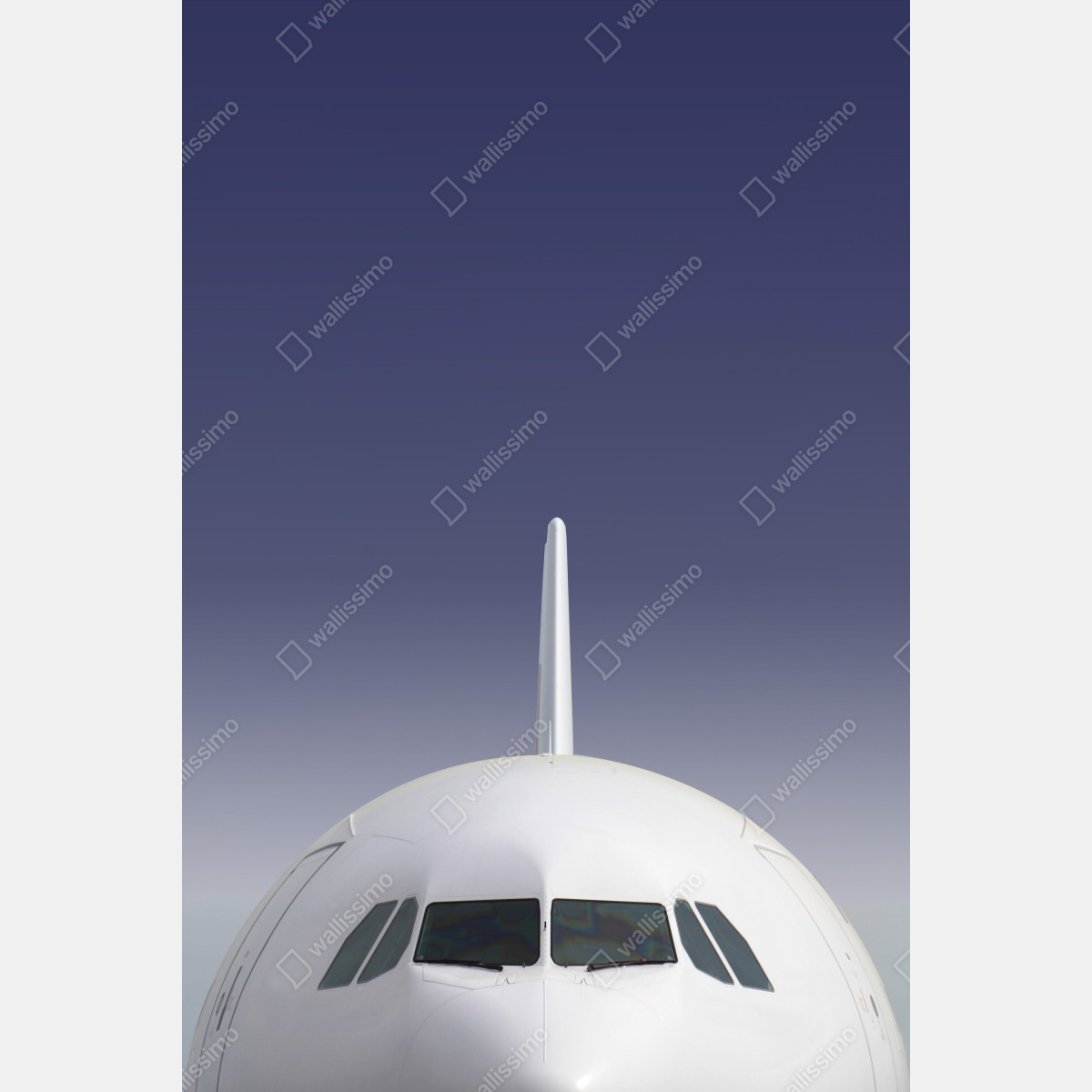 Plakat przód samolotu na tle błękitnego nieba – Wallissimo® Plakat przód samolotu na tle błękitnego nieba – Wallissimo®