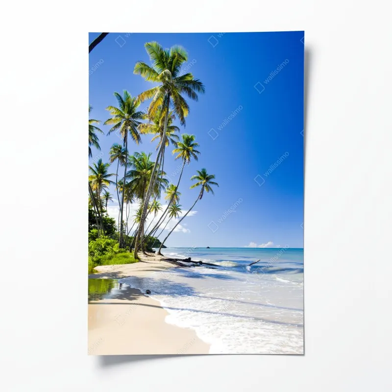 Plakat majestatyczny portret konia – Wallissimo®