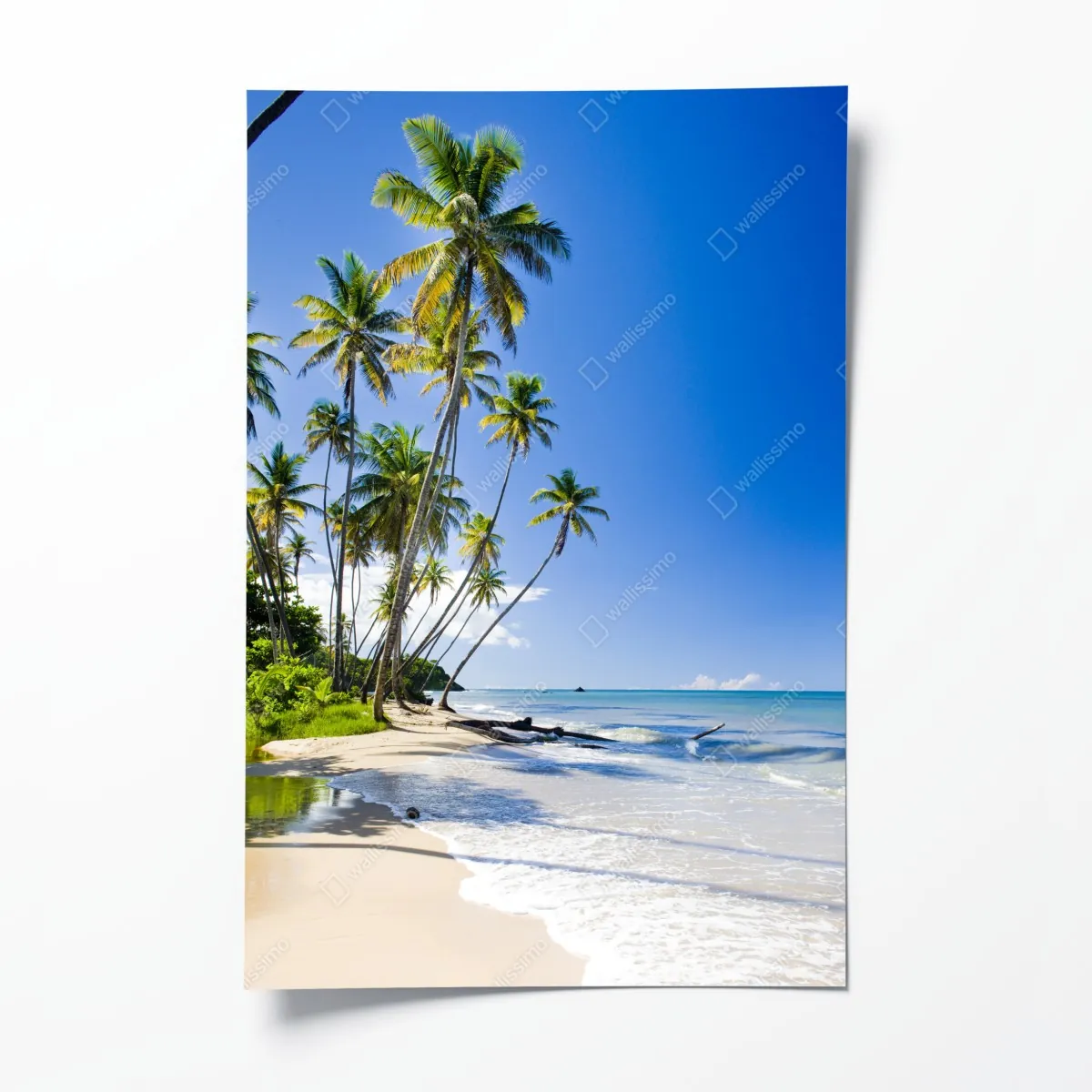 Plakat tropikalna plaża z palmami pod błękitnym niebem – Wallissimo® Plakat tropikalna plaża z palmami pod błękitnym niebem – Wallissimo®