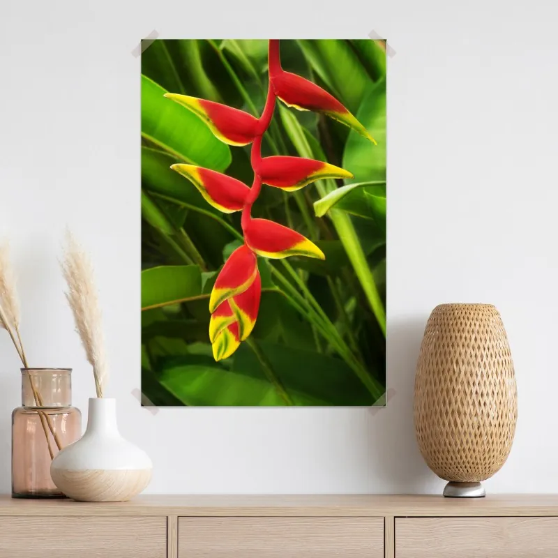 Plakat wibrująca heliconia w tropikalnym listowiu – Wallissimo® Plakat wibrująca heliconia w tropikalnym listowiu – Wallissimo®