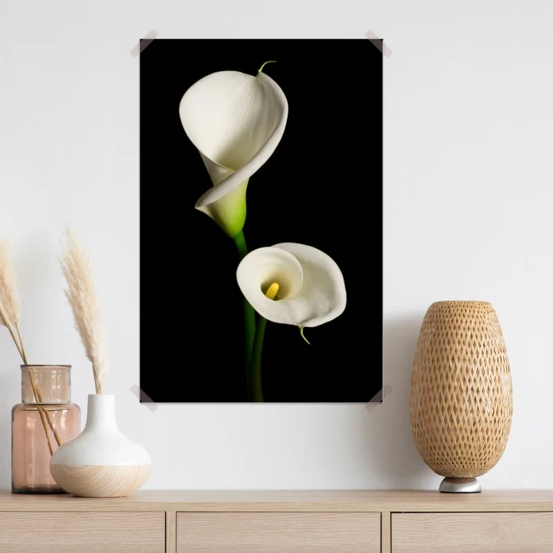 Plakat białe kalie na czarnym tle – Wallissimo® Plakat białe kalie na czarnym tle – Wallissimo®