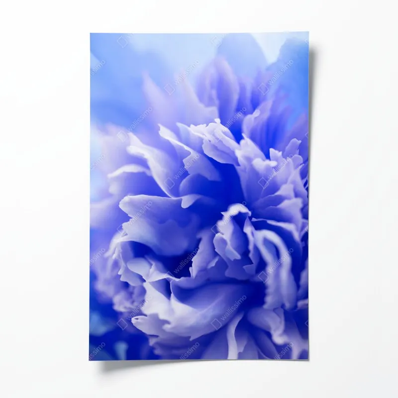 Plakat delikatny niebieski abstrakcyjny kwiat zbliżenie