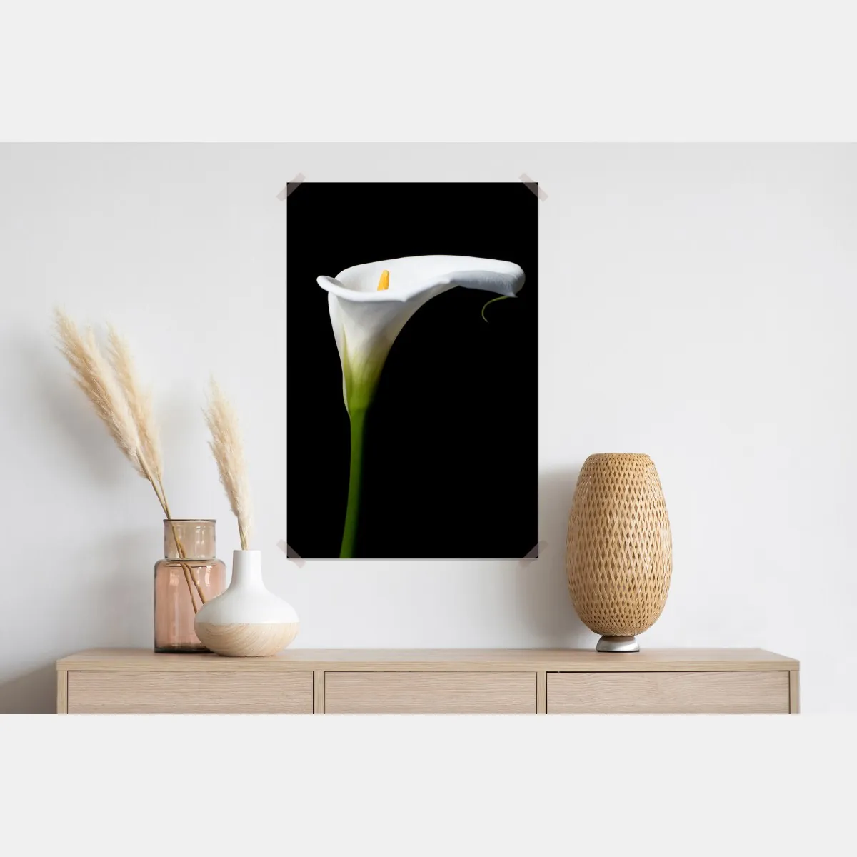 Plakat elegancka biała kalia na czarnym tle – Wallissimo® Plakat elegancka biała kalia na czarnym tle – Wallissimo®