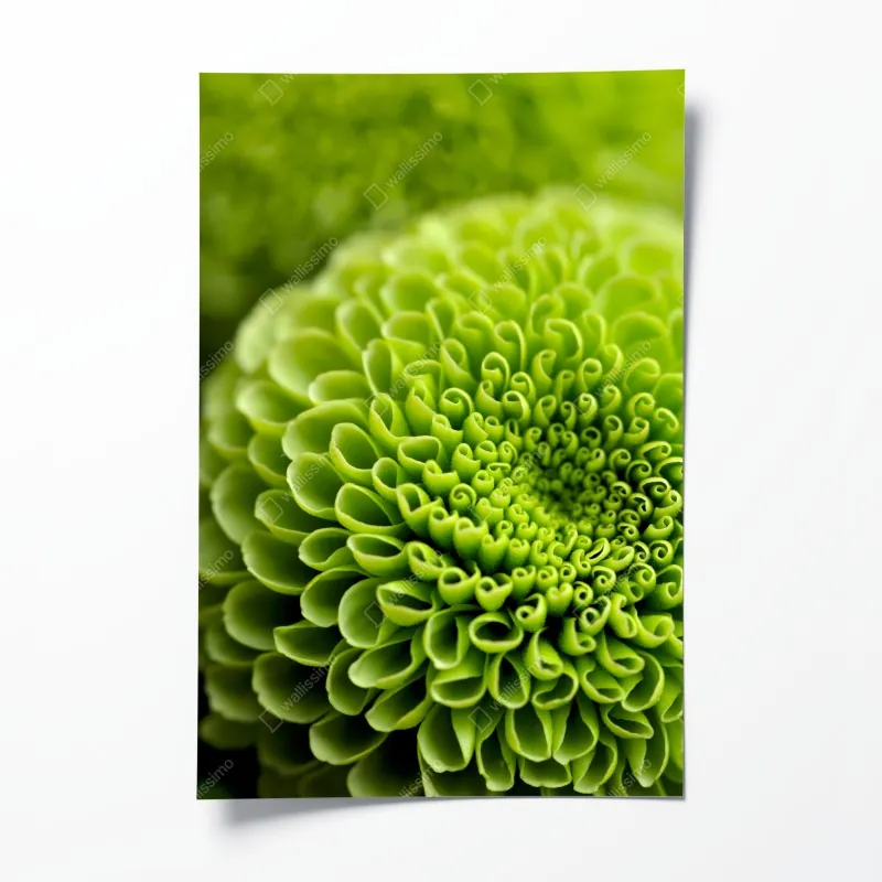 Plakat wiosenna zielona panorama łąki – Wallissimo®