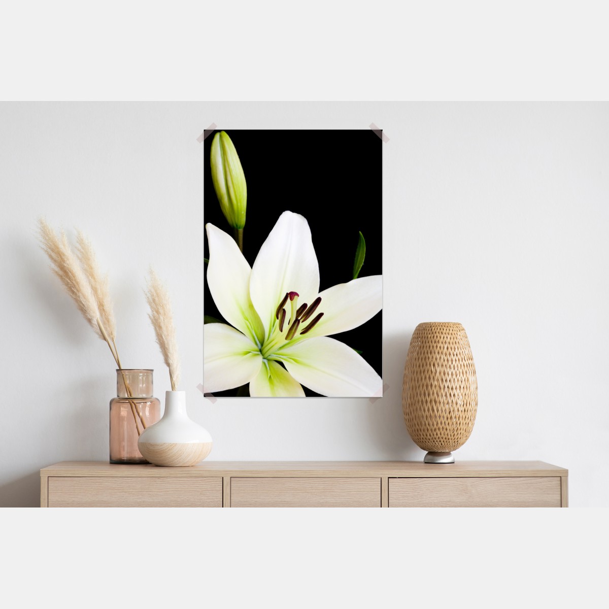 Plakat biała lilia na czarnym tle – Wallissimo® Plakat biała lilia na czarnym tle – Wallissimo®