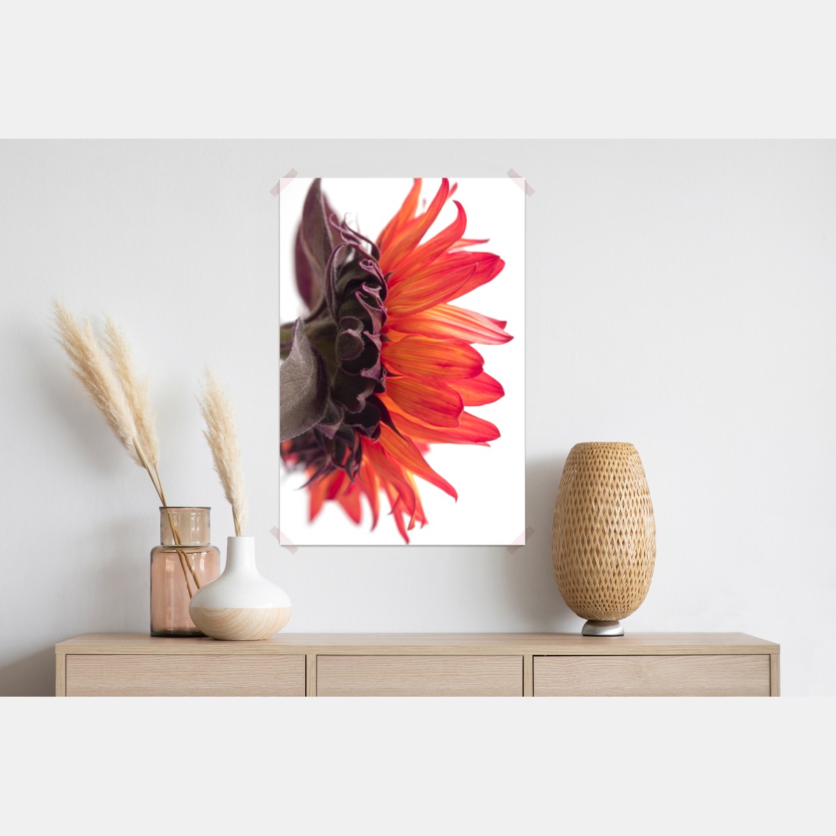 Plakat intensywny pomarańczowy słonecznik zbliżenie – Wallissimo® Plakat intensywny pomarańczowy słonecznik zbliżenie – Wallissimo®