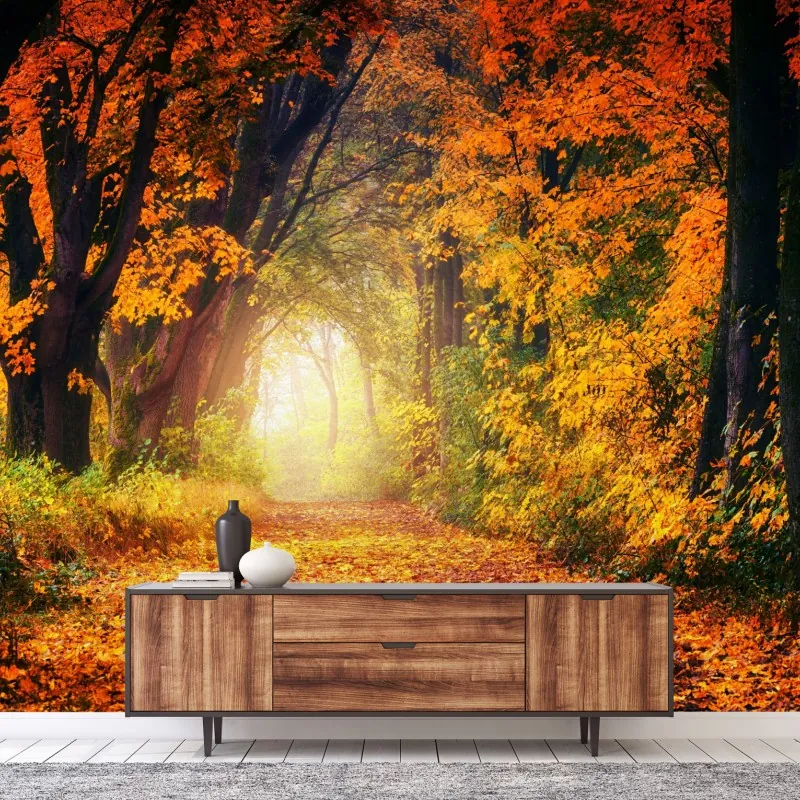 Fototapeta jesienna leśna ścieżka w złotym świetle