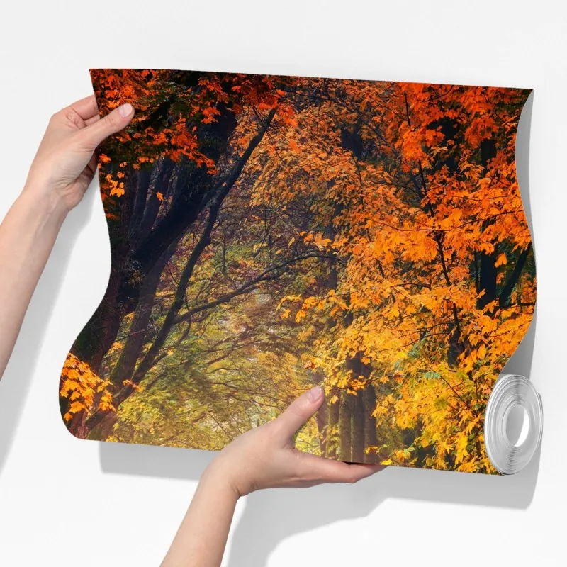 Fototapeta jesienna leśna ścieżka w złotym świetle – Wallissimo® Fototapeta jesienna leśna ścieżka w złotym świetle – Wallissimo®