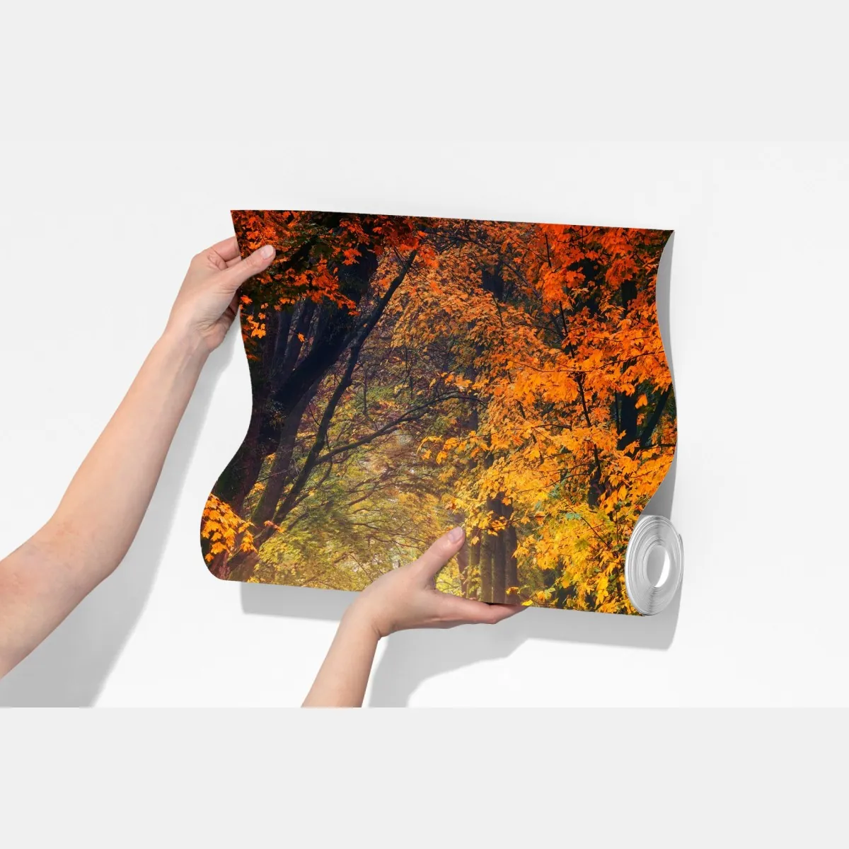 Fototapeta jesienna leśna ścieżka w złotym świetle – Wallissimo® Fototapeta jesienna leśna ścieżka w złotym świetle – Wallissimo®