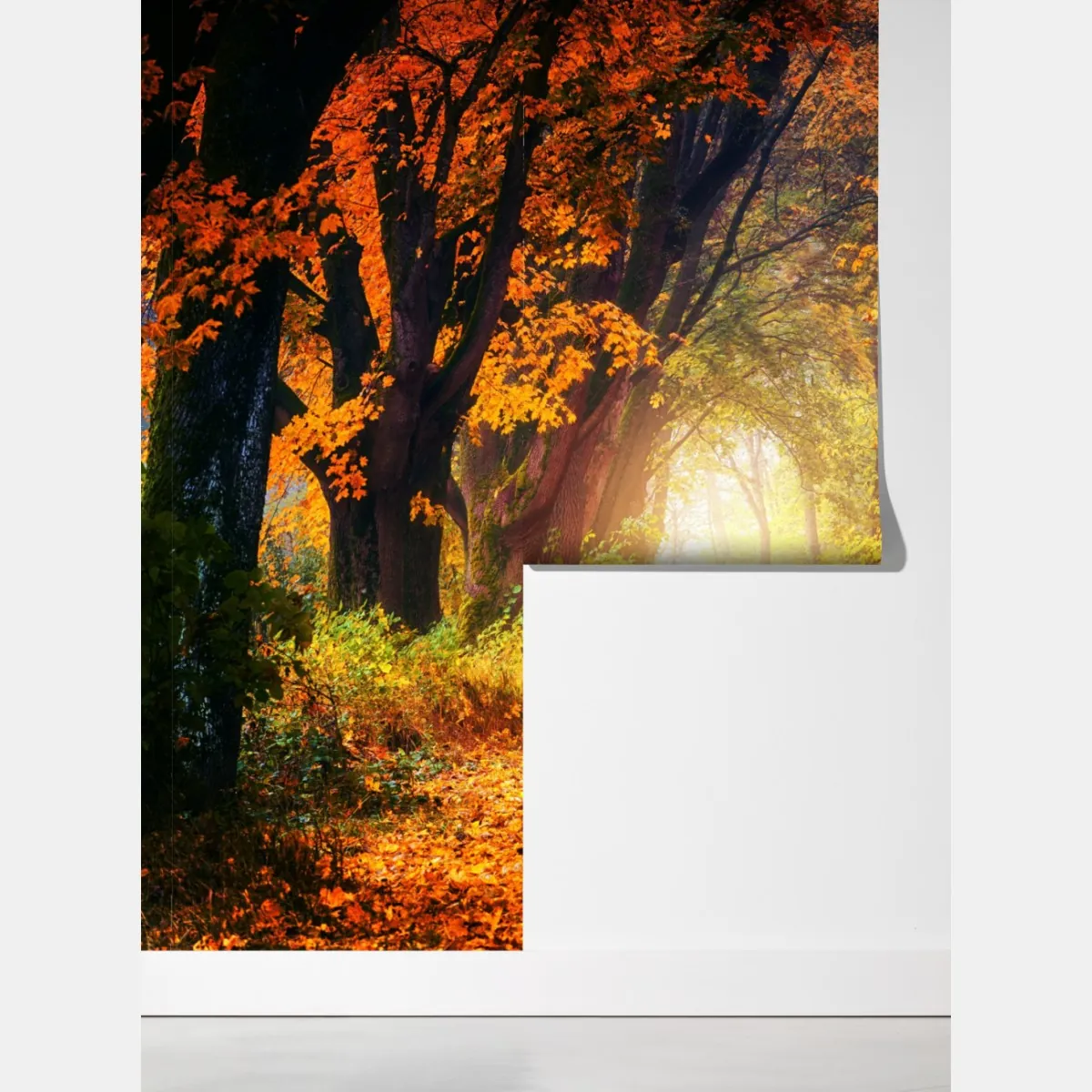 Fototapeta jesienna leśna ścieżka w złotym świetle – Wallissimo® Fototapeta jesienna leśna ścieżka w złotym świetle – Wallissimo®