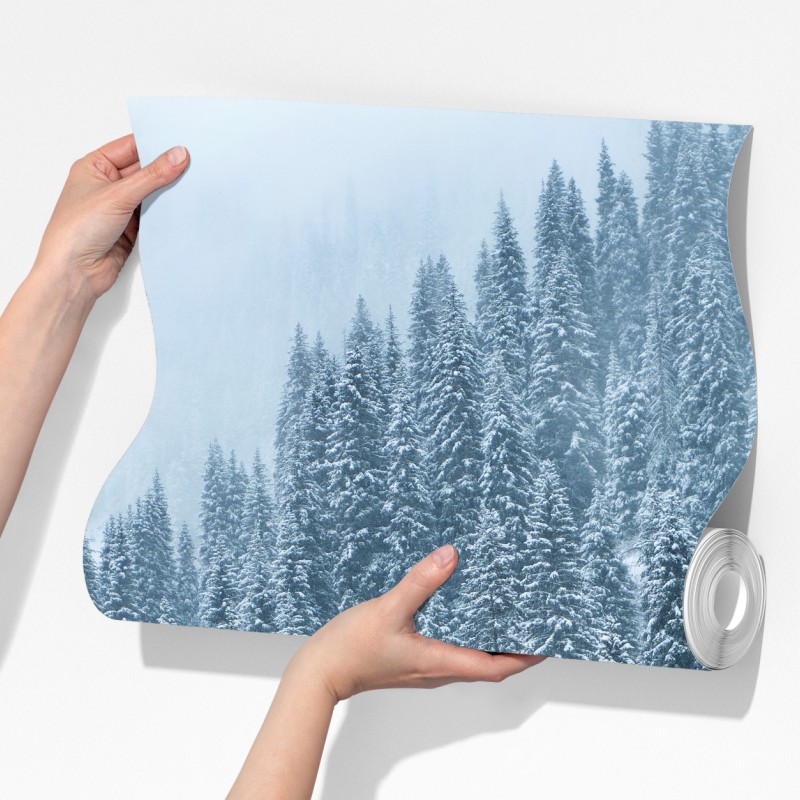 Fototapeta mglisty ośnieżony las sosnowy – Wallissimo® Fototapeta mglisty ośnieżony las sosnowy – Wallissimo®