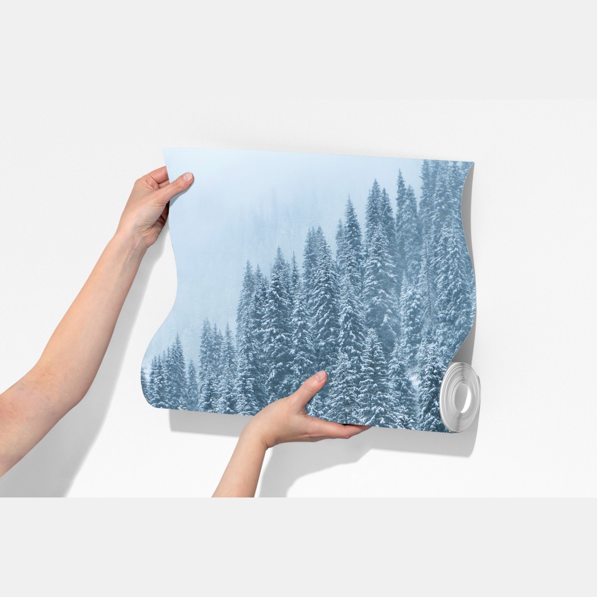 Fototapeta mglisty ośnieżony las sosnowy – Wallissimo® Fototapeta mglisty ośnieżony las sosnowy – Wallissimo®