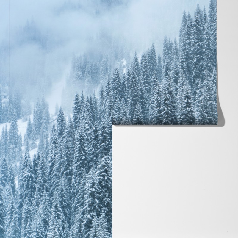 Fototapeta mglisty ośnieżony las sosnowy – Wallissimo® Fototapeta mglisty ośnieżony las sosnowy – Wallissimo®