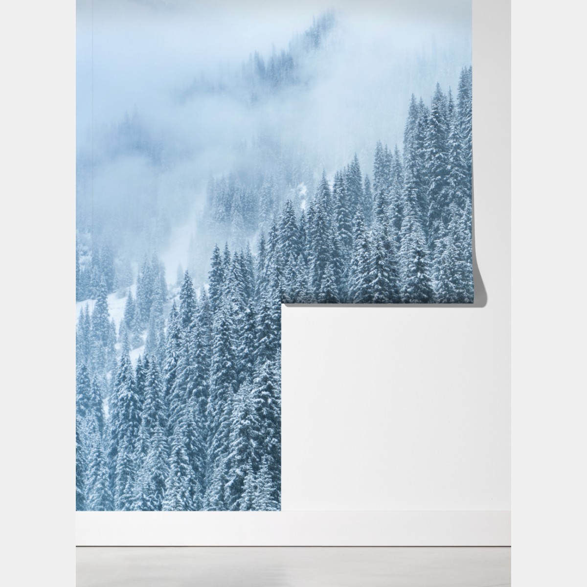 Fototapeta mglisty ośnieżony las sosnowy – Wallissimo® Fototapeta mglisty ośnieżony las sosnowy – Wallissimo®