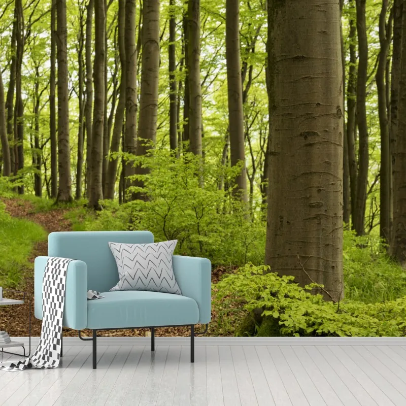 Fototapeta spokojna zielona ścieżka leśna – Wallissimo® Fototapeta spokojna zielona ścieżka leśna – Wallissimo®