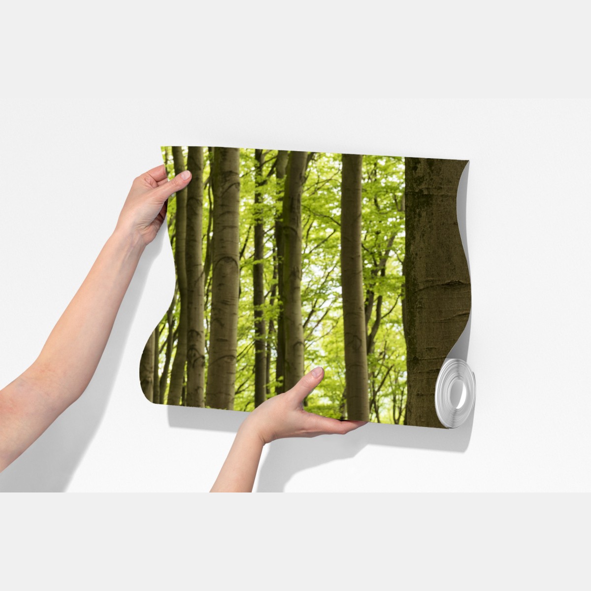 Fototapeta spokojna zielona ścieżka leśna – Wallissimo® Fototapeta spokojna zielona ścieżka leśna – Wallissimo®