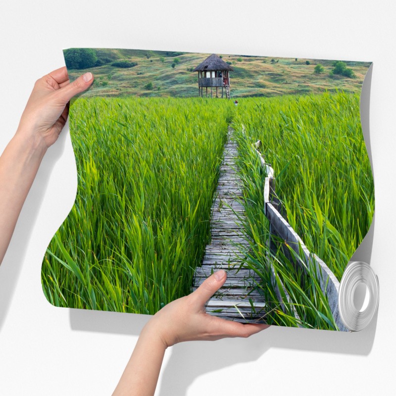 Fototapeta spokojny zielony pomost przez trzcinowisko do rustykalnej chaty – Wallissimo® Fototapeta spokojny zielony pomost przez trzcinowisko do rustykalnej chaty – Wallissimo®