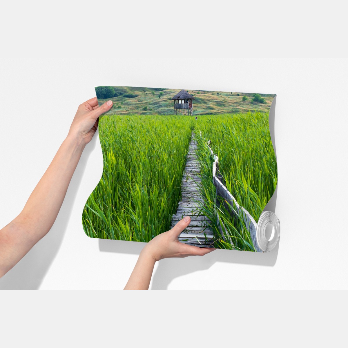 Fototapeta spokojny zielony pomost przez trzcinowisko do rustykalnej chaty – Wallissimo® Fototapeta spokojny zielony pomost przez trzcinowisko do rustykalnej chaty – Wallissimo®