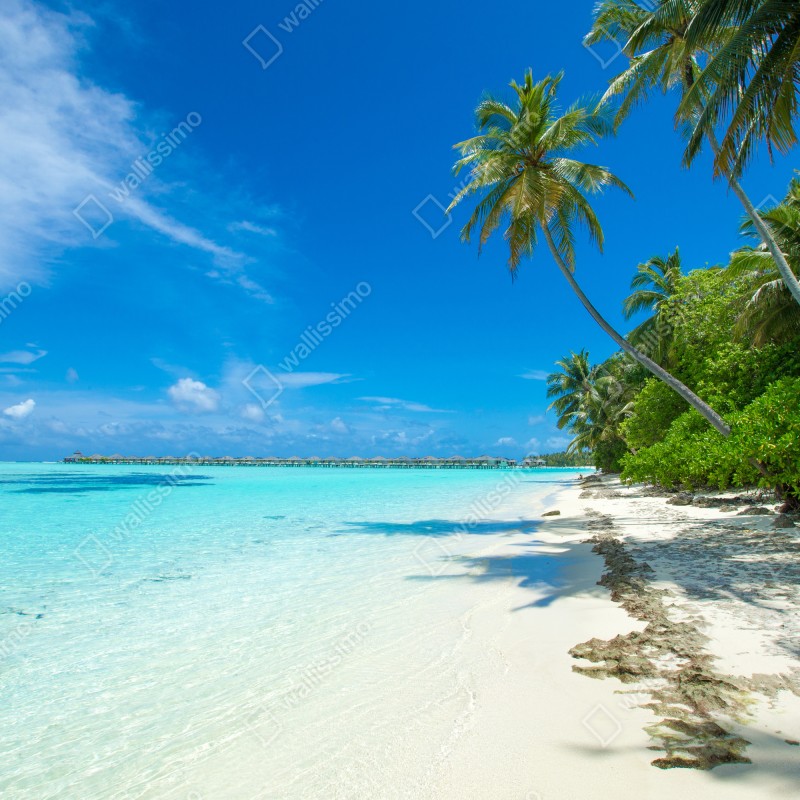 Fototapeta tropikalna plaża na Malediwach – Wallissimo® Fototapeta tropikalna plaża na Malediwach – Wallissimo®