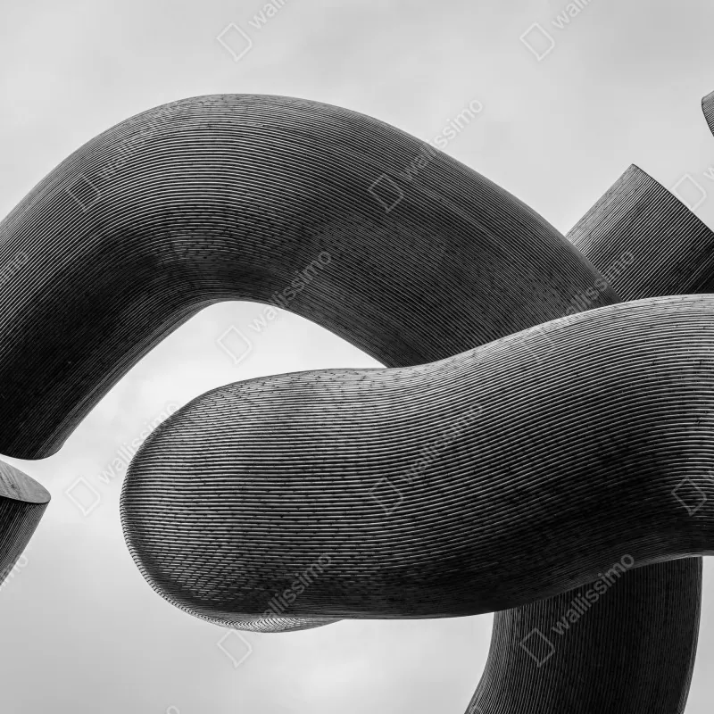 Fototapeta krzywe formy abstrakcyjna rzeźba w odcieniach szarości – Wallissimo® Fototapeta krzywe formy abstrakcyjna rzeźba w odcieniach szarości – Wallissimo®