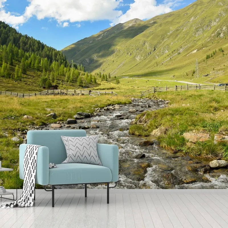 Fototapeta alpejski strumień w słonecznej dolinie