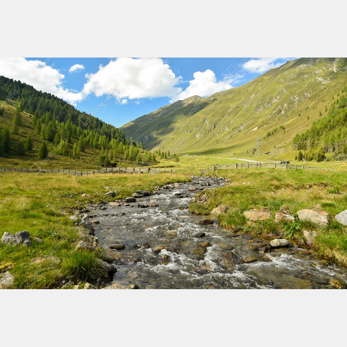 Fototapeta alpejski strumień w słonecznej dolinie – Wallissimo® Fototapeta alpejski strumień w słonecznej dolinie – Wallissimo®