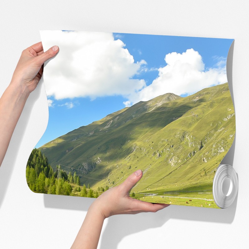 Fototapeta alpejski strumień w słonecznej dolinie – Wallissimo® Fototapeta alpejski strumień w słonecznej dolinie – Wallissimo®