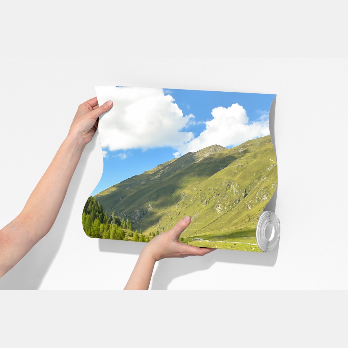 Fototapeta alpejski strumień w słonecznej dolinie – Wallissimo® Fototapeta alpejski strumień w słonecznej dolinie – Wallissimo®