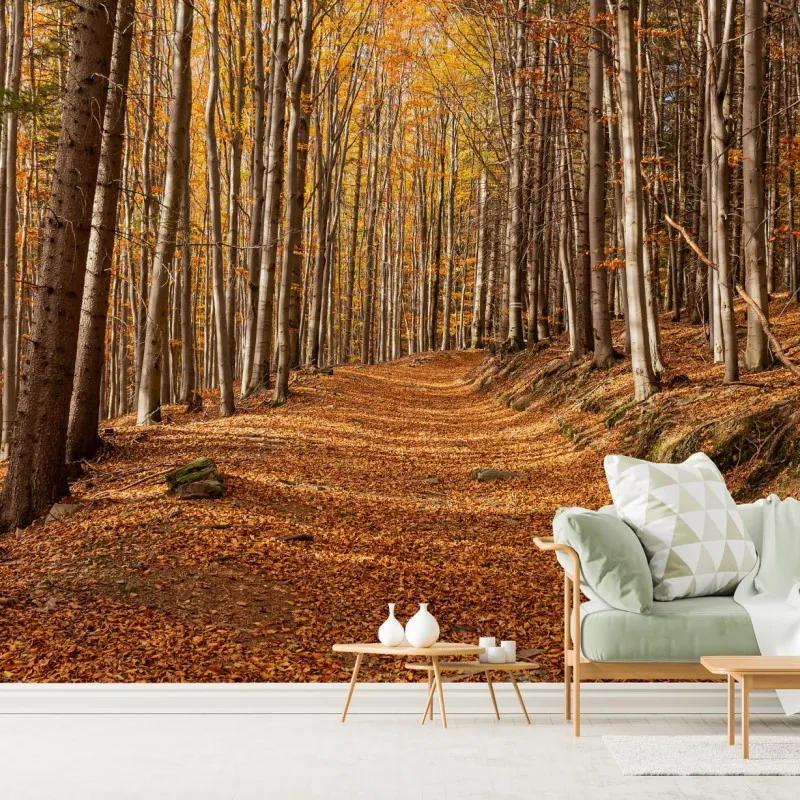 Fototapeta jesienna ścieżka leśna w złotych liściach