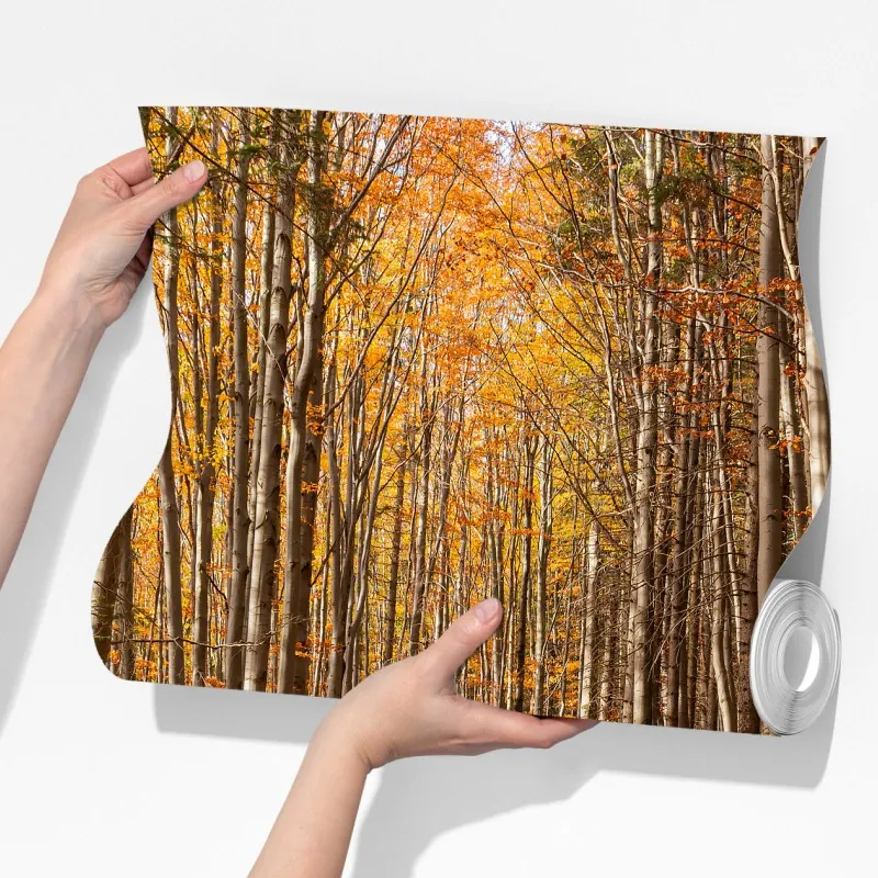 Fototapeta jesienna ścieżka leśna w złotych liściach – Wallissimo® Fototapeta jesienna ścieżka leśna w złotych liściach – Wallissimo®