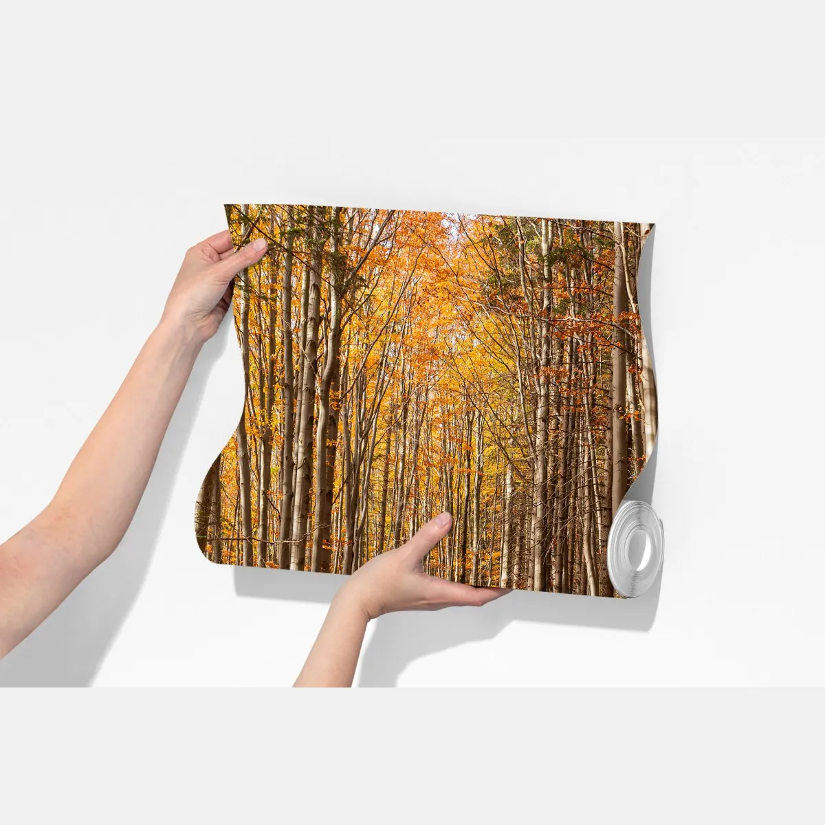 Fototapeta jesienna ścieżka leśna w złotych liściach – Wallissimo® Fototapeta jesienna ścieżka leśna w złotych liściach – Wallissimo®