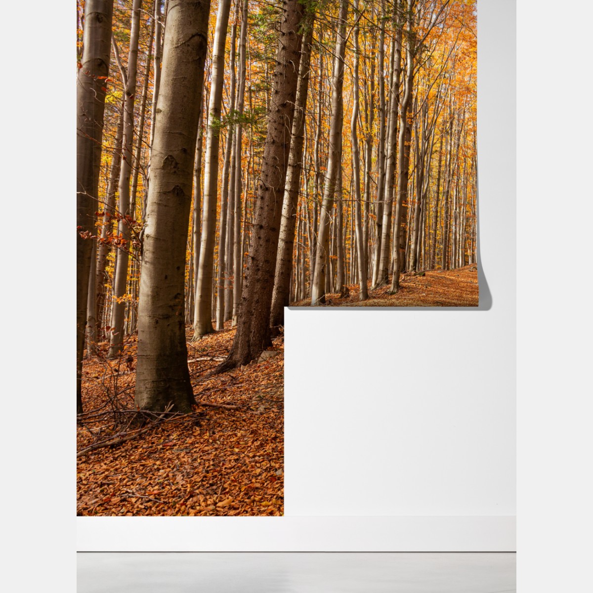 Fototapeta jesienna ścieżka leśna w złotych liściach – Wallissimo® Fototapeta jesienna ścieżka leśna w złotych liściach – Wallissimo®