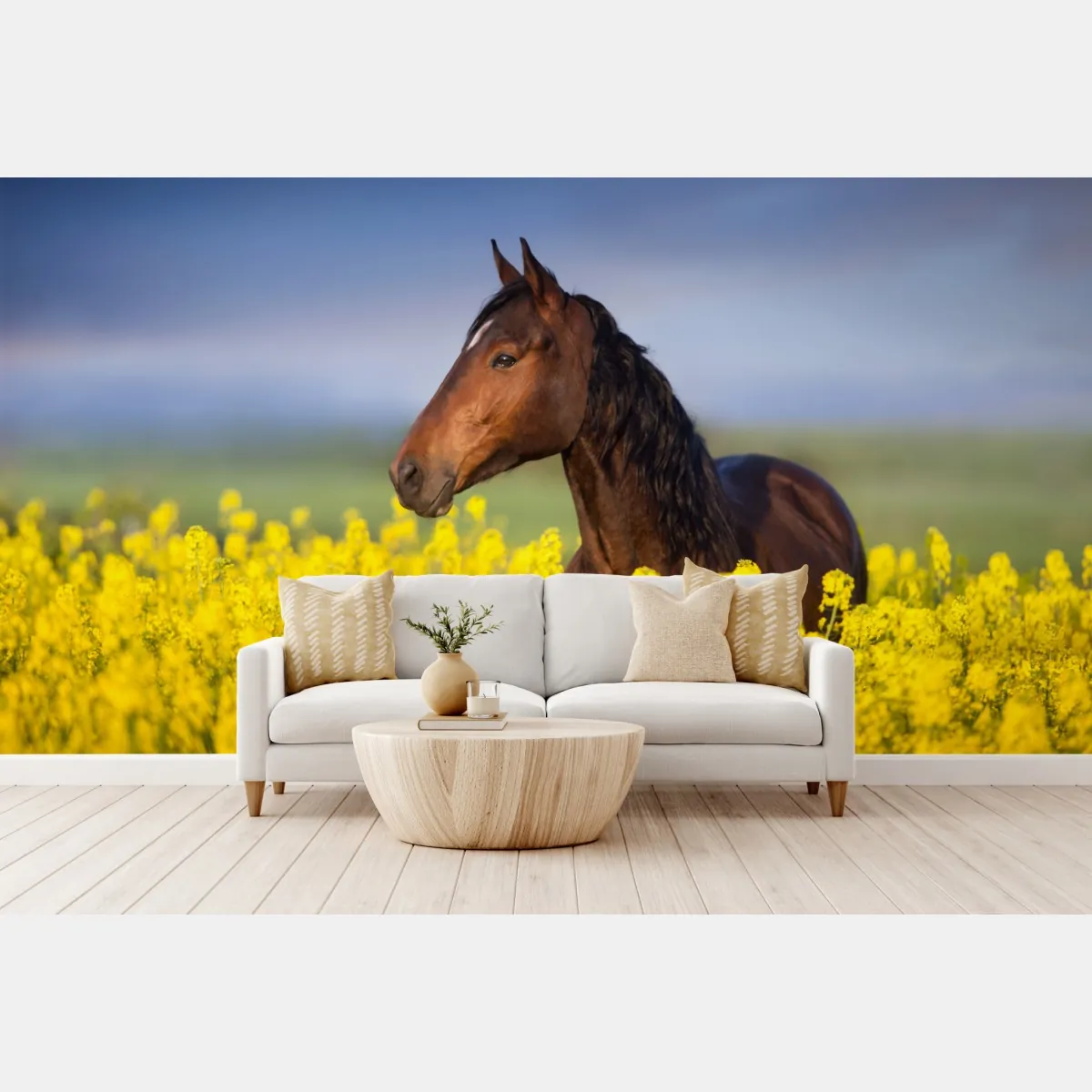 Fototapeta gniady koń na polu rzepaku – Wallissimo® Fototapeta gniady koń na polu rzepaku – Wallissimo®