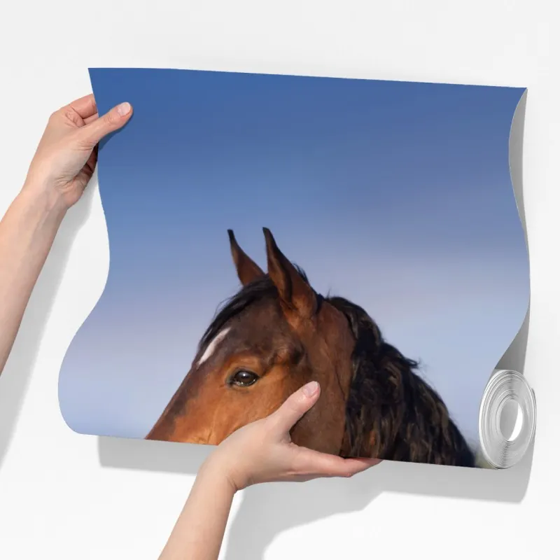 Fototapeta gniady koń na polu rzepaku – Wallissimo® Fototapeta gniady koń na polu rzepaku – Wallissimo®