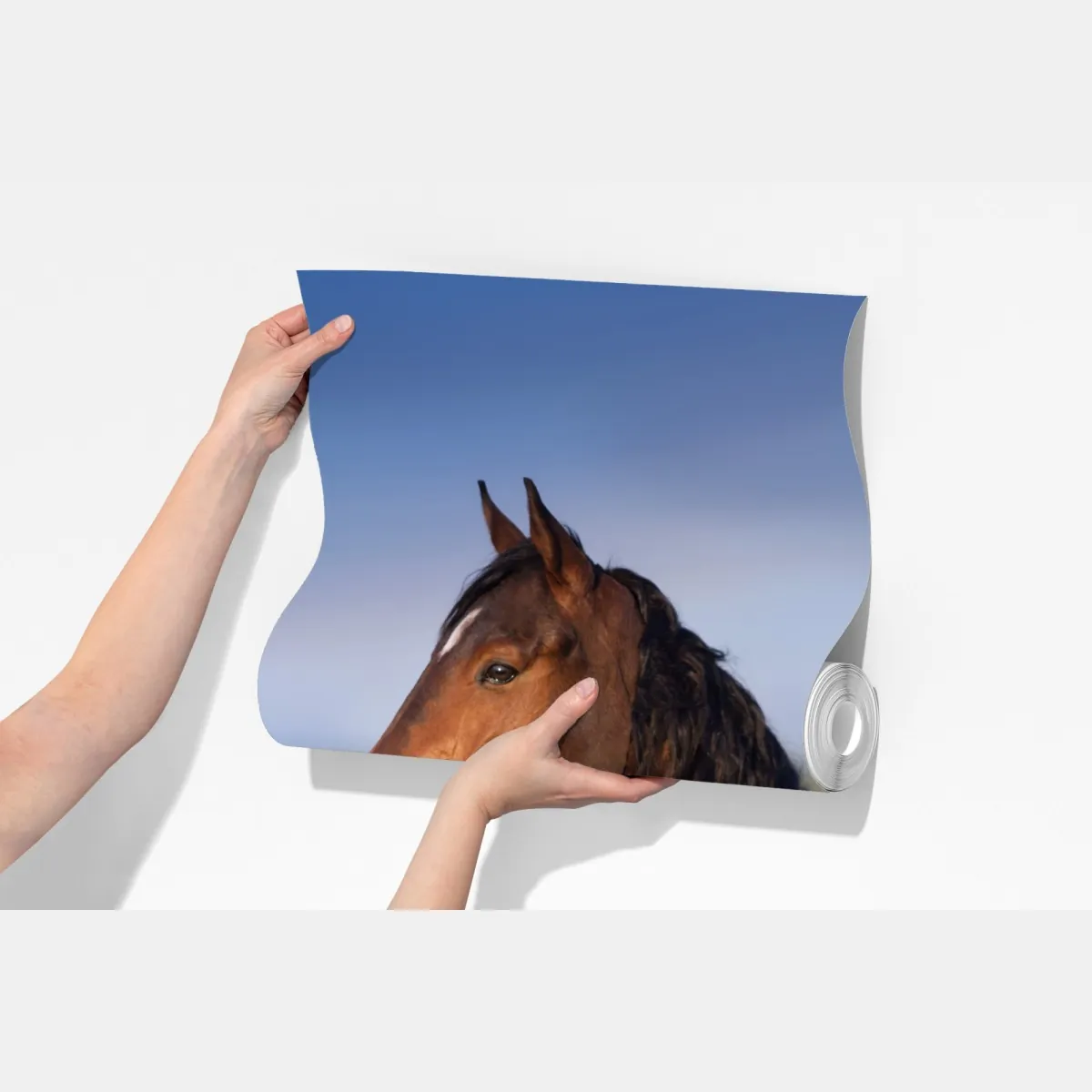 Fototapeta gniady koń na polu rzepaku – Wallissimo® Fototapeta gniady koń na polu rzepaku – Wallissimo®