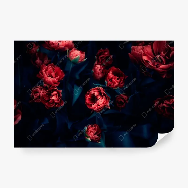 Fototapeta spokojna panorama zaśnieżonych gór – Wallissimo®