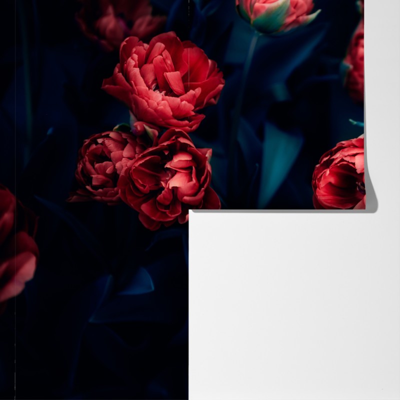 Fototapeta ponury bukiet czerwonych tulipanów – Wallissimo® Fototapeta ponury bukiet czerwonych tulipanów – Wallissimo®