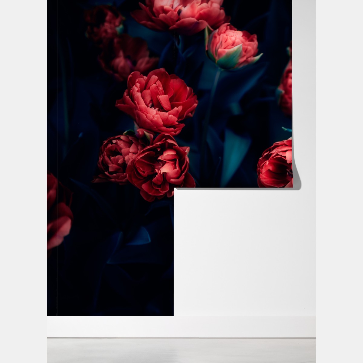 Fototapeta ponury bukiet czerwonych tulipanów – Wallissimo® Fototapeta ponury bukiet czerwonych tulipanów – Wallissimo®