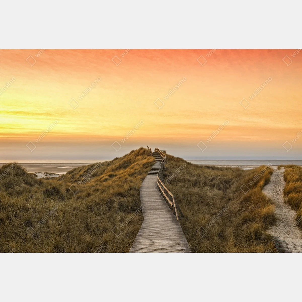 Fototapeta zachód słońca nad plażą Amrum – Wallissimo® Fototapeta zachód słońca nad plażą Amrum – Wallissimo®