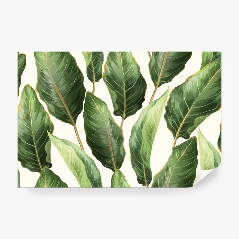 Fototapeta żywa czerwona róża - zbliżenie – Wallissimo®