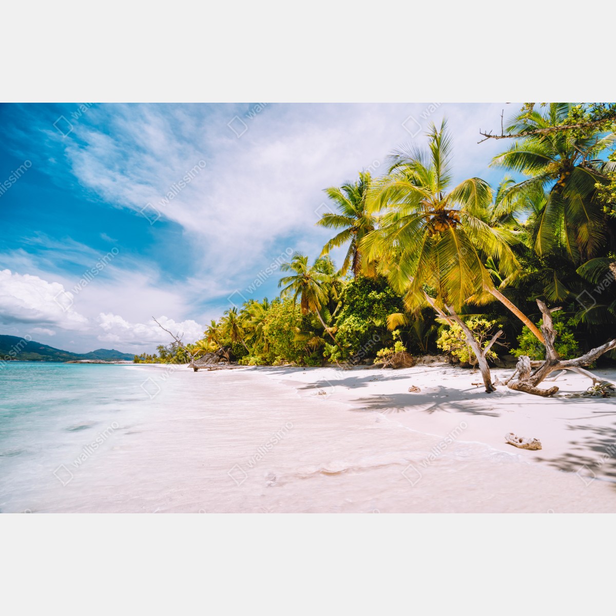 Fototapeta tropikalna plaża z palmami – Wallissimo® Fototapeta tropikalna plaża z palmami – Wallissimo®