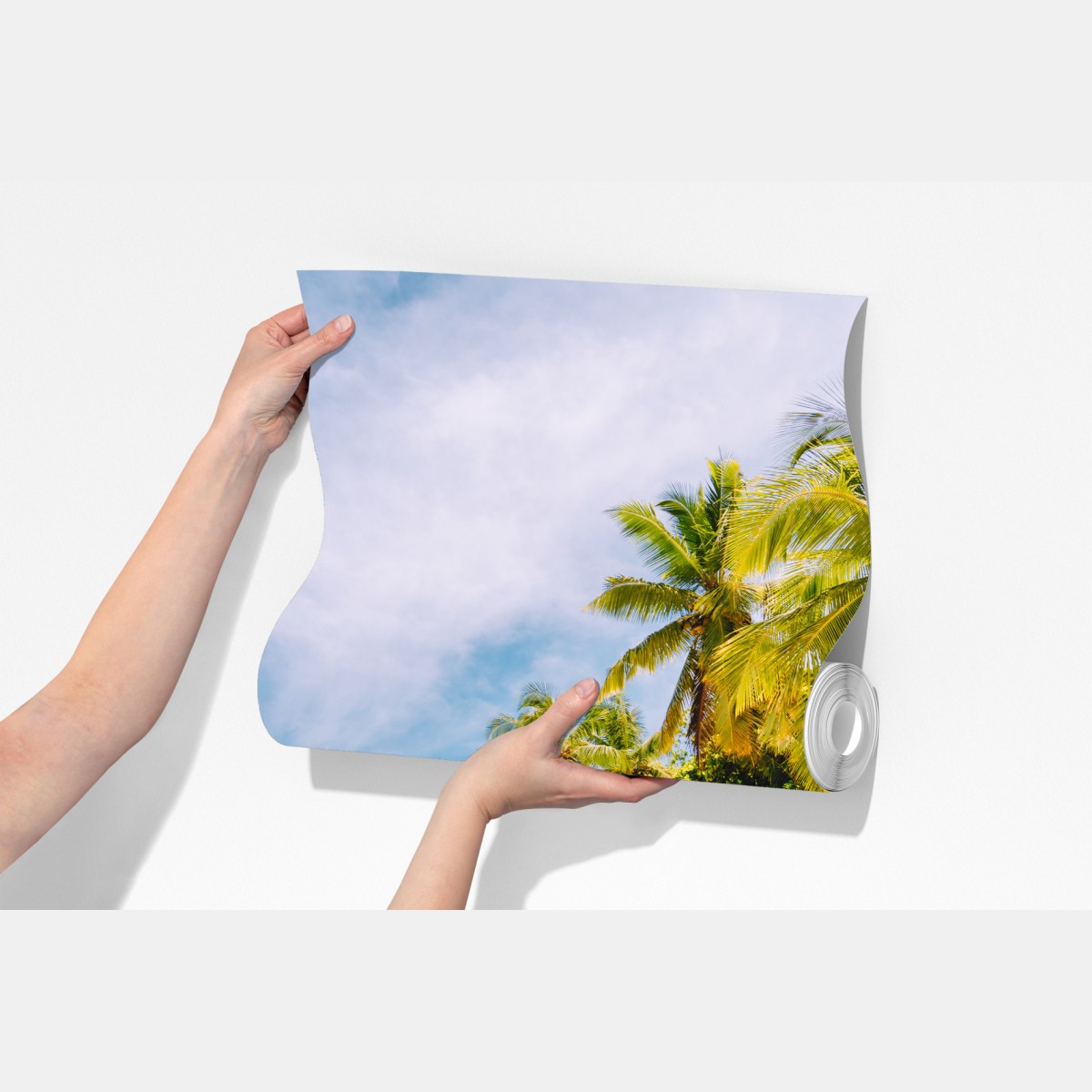 Fototapeta tropikalna plaża z palmami – Wallissimo® Fototapeta tropikalna plaża z palmami – Wallissimo®