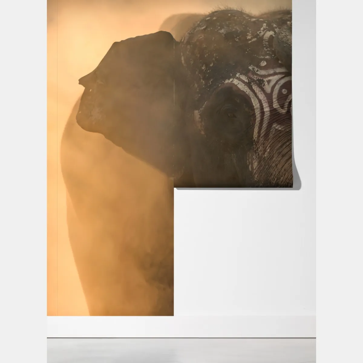 Fototapeta majestatyczny słoń z Tajlandii z kłami – Wallissimo® Fototapeta majestatyczny słoń z Tajlandii z kłami – Wallissimo®